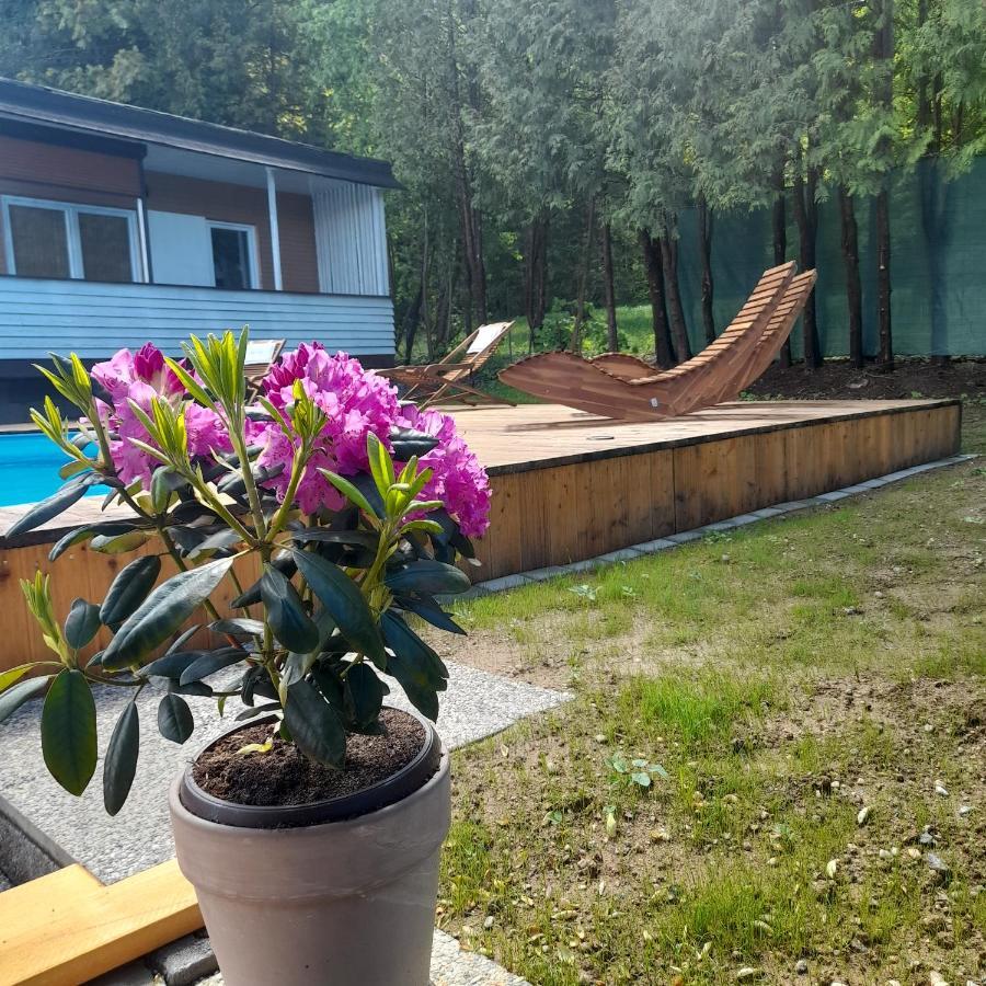 Bungalows Sonnenblume Am Klopeiner See Sankt Kanzian am Klopeiner See Eksteriør billede