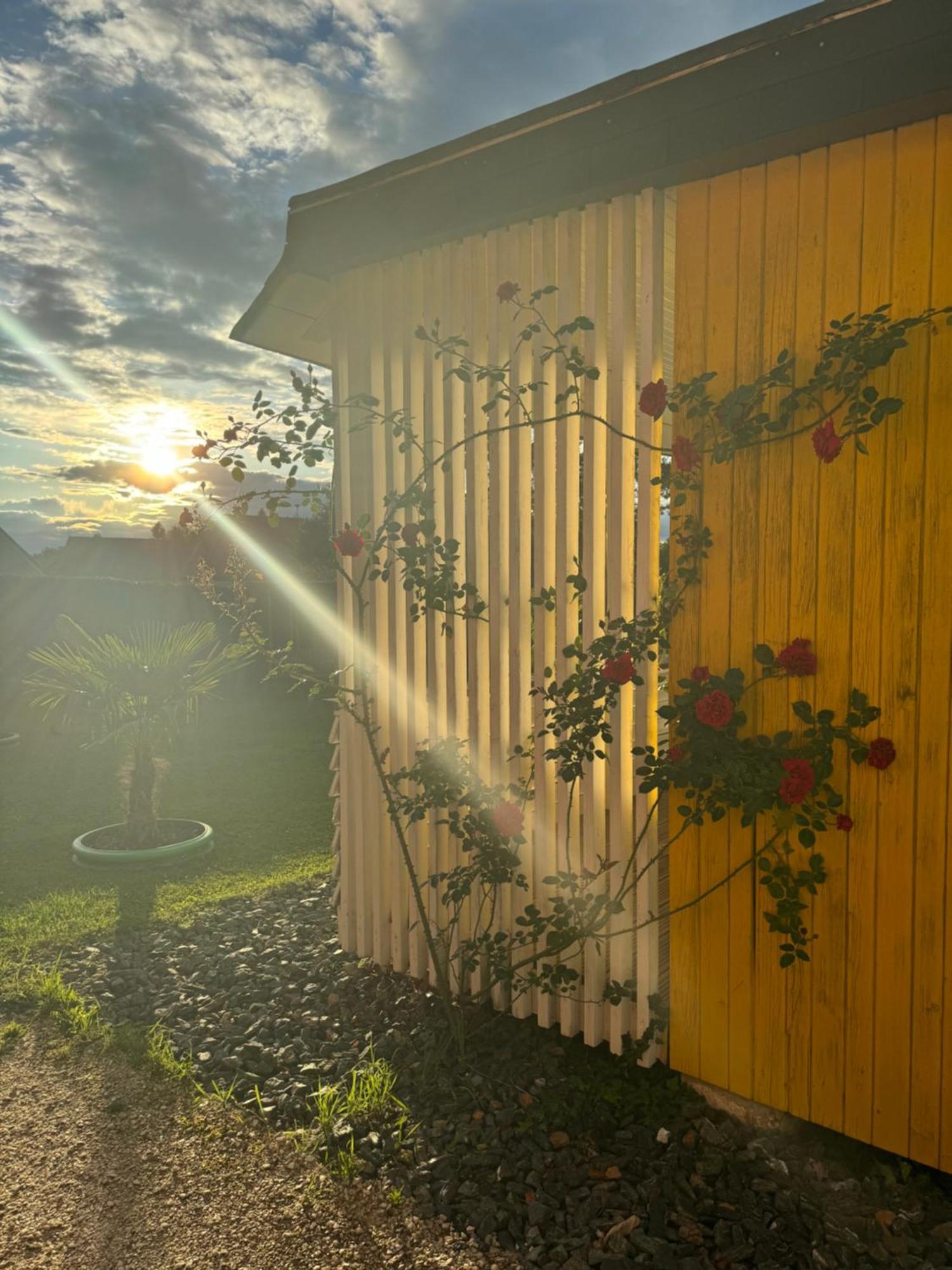 Bungalows Sonnenblume Am Klopeiner See Sankt Kanzian am Klopeiner See Eksteriør billede